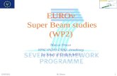 EURO   Super Beam studies (WP2)