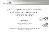 CALICE Digital Hadron Calorimeter: Calibration and Response to  Pions  and Positrons
