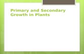 Primary and Secondary Growth in Plants
