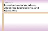 Introduction to  Variables, Algebraic Expressions, and Equations