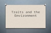 Traits and the Environment