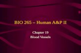 BIO 265 – Human A&P II
