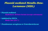Plasmid mediated Metallo-Beta-Lactamase (MBL)  Plasmid mediated