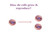 How do cells grow & reproduce?