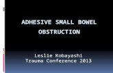 ADHESIVE small bowel obstruction