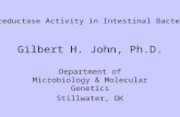 Gilbert H. John, Ph.D.