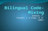 Bilingual Code-Mixing