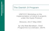 The Danish JI Program