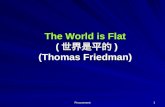 The World is Flat ( 世界是平的 ) (Thomas Friedman)