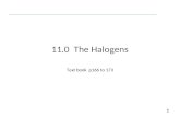 11.0  The Halogens