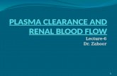 PLASMA CLEARANCE AND RENAL BLOOD FLOW