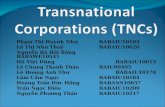 Transnational Corporations (TNCs)