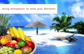 Using Honeymoons to Grow your Business