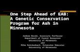 One Step Ahead of EAB:   A Genetic Conservation Program for Ash in Minnesota