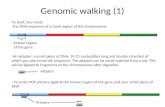 Genomic walking (1)