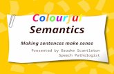 C o l o u r f u l  Semantics Making sentences make sense