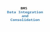 BMS Data Integration and Consolidation