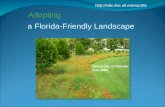 a Florida-Friendly Landscape