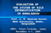 EVALUATION OF  THE SYSTEM OF RICE INTENSIFICATION  IN BANGLADESH Prof. A. M. Muazzam Husain