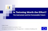 Is Twinning Worth the Effort? The Instrument and Its Foreseeable Future