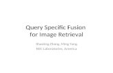 Query Specific Fusion  for Image Retrieval