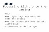 Focussing Light onto the retina