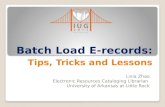Batch Load E-records: Tips, Tricks and Lessons