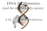 DNA for Dummies (and the intellectually astute)
