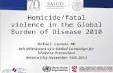 Homicide/fatal violence in the Global Burden of  Disease 2010