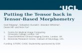 Putting the Tensor back in Tensor-Based Morphometry