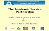 The Academic Service Partnership