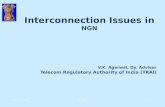 Interconnection Issues in NGN