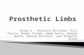 Prosthetic Limbs