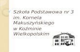 Szkoła Podstawowa nr 3 im. Kornela Makuszyńskiego  w Koźminie Wlkp.