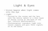 Light & Eyes