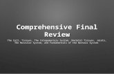 Comprehensive Final Review