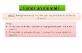 WALT :  Recognise  words for pets and say which ones I have in Spanish