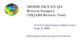 MODIS OCEAN QA Browse Imagery  (MQABI Browse Tool)