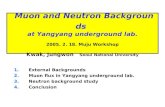 External Backgrounds  Muon flux in Yangyang underground lab.    Neutron background study