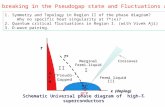 Symmetry breaking in the Pseudogap state and Fluctuations about it