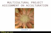 MULTICULTURAL PROJECT ASSIGNMENT ON ACCULTURATION