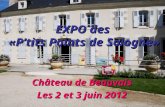 EXPO des  «P’tits Points de Sologne»