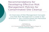 Recommendations for Developing Effective Risk Management Policies for Contaminated Site Cleanup