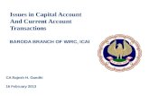 Issues in  Capital Account And Current Account Transactions