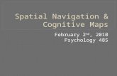 Spatial Navigation & Cognitive Maps