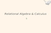 Relational Algebra & Calculus