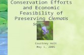 Conservation Efforts and Economic Feasibility of Preserving  Clematis socialis