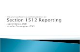 Section 1512 Reporting Overview