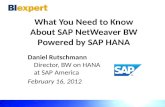 What You Need to Know About SAP  NetWeaver  BW Powered by SAP HANA