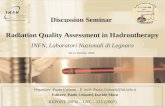 Discussion Seminar  Radiation Quality Assessment in Hadrontherapy